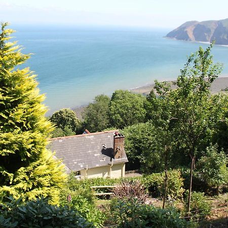 Bed and Breakfast North Walk House à Lynton Extérieur photo