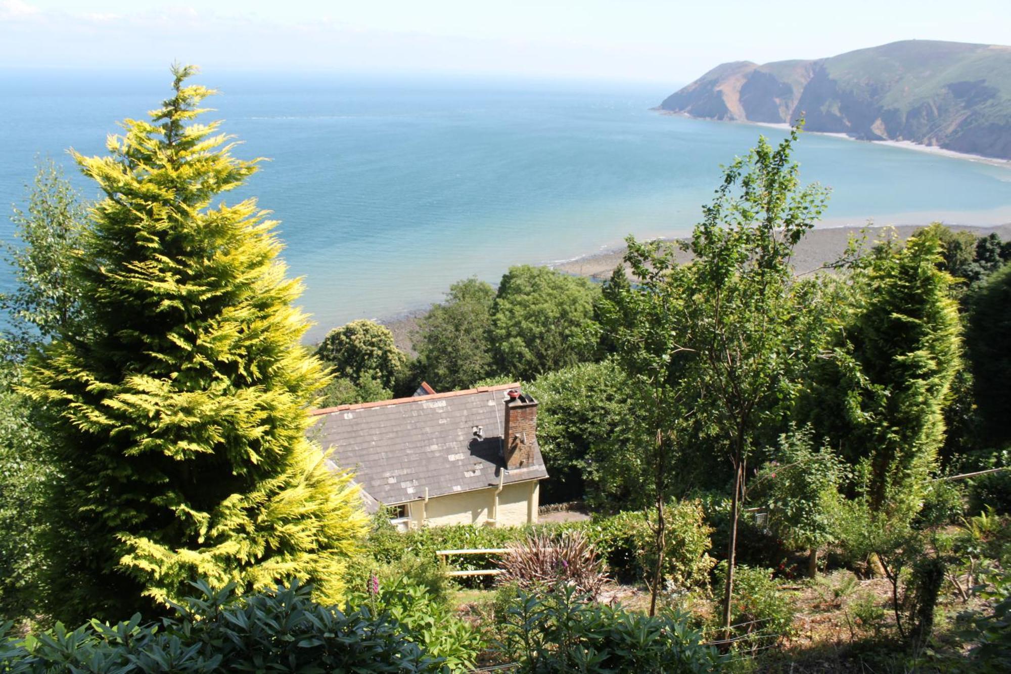 Bed and Breakfast North Walk House à Lynton Extérieur photo