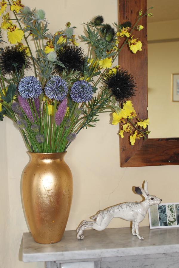 Bed and Breakfast North Walk House à Lynton Extérieur photo
