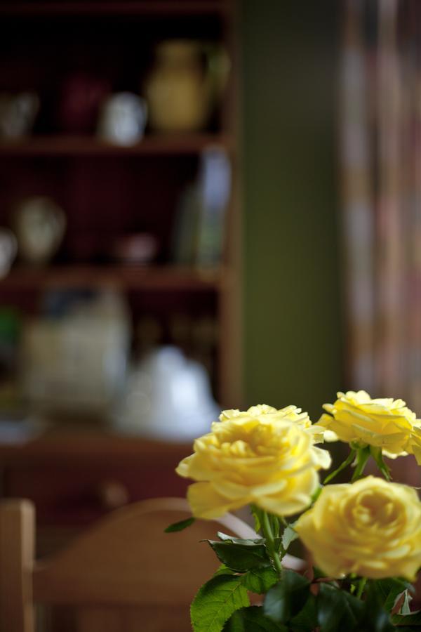 Bed and Breakfast North Walk House à Lynton Extérieur photo